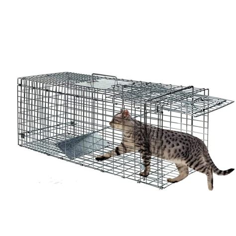 Live Animal Trap 24"x8"x7" Humane Cat Trap Cage for Stray Cats Raccoon ...