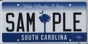 Free South Carolina License Plate Lookup | Enter Any License & Search