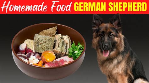 Homemade Food for German Shepherd | Recipes And Preparation Method ...