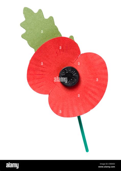 Royal British Legion poppy for November Poppy Appeal Stock Photo - Alamy