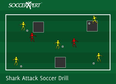 Shark Attack Soccer Drill