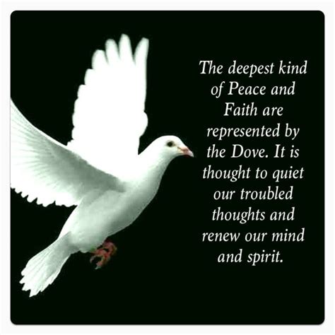 Turtle Doves Quotes | Dove symbolism, Doves, Bird quotes