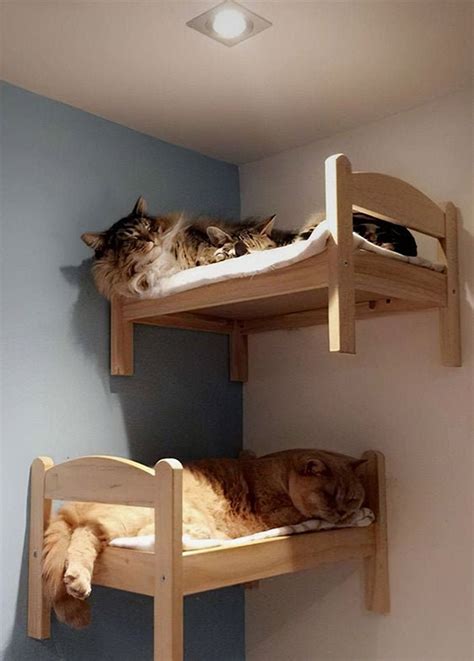 Big Discount %60 WMA Cat Bed Cat Gifts Cat Wall Bed Wall | Etsy | Cat ...