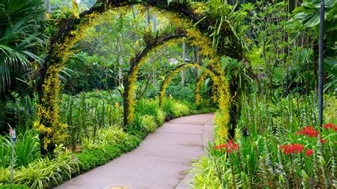 Top 10 Hotels Closest to Singapore Botanic Gardens in Singapore (from ...