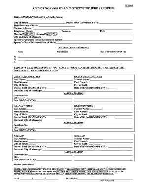 Applying For Italian Citizenship - Fill Out and Sign Printable PDF ...