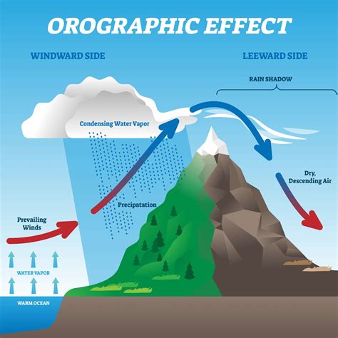 What Does The Rain Shadow Effect Explain