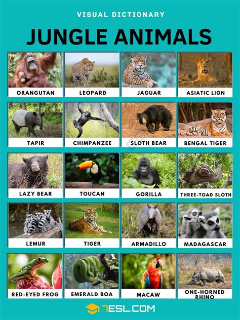 Real Jungle Animals Pictures