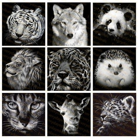 Everydayedeals Diamond Painting - Full Drill - Animals | Diamond ...