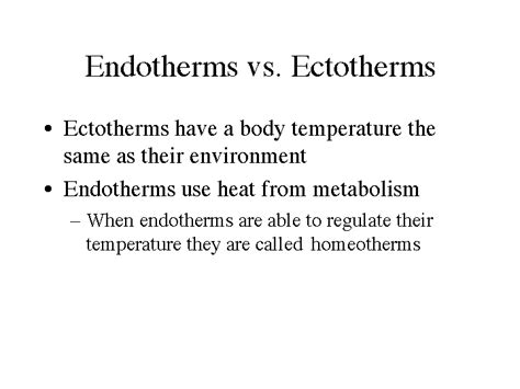 Endotherms vs. Ectotherms