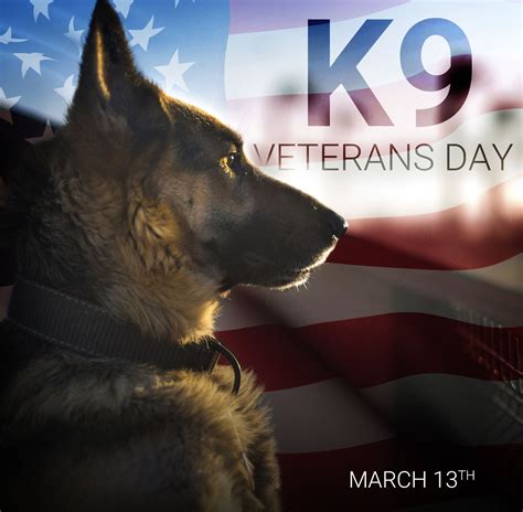 Honoring our four-legged heroes > Office of Special Investigations ...