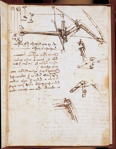 Leonardo Da Vinci, Codex On The Flight Photograph by Everett