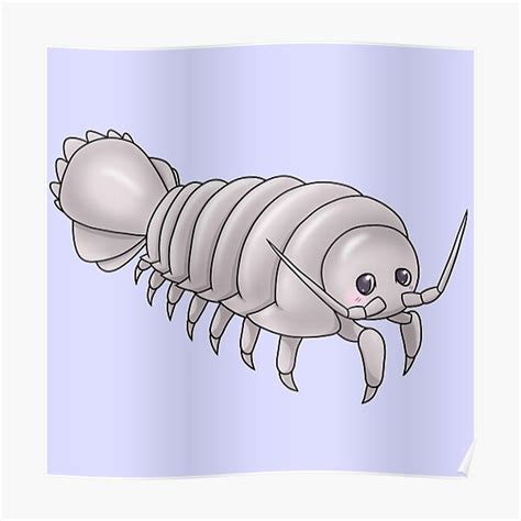 Isopod Posters | Redbubble