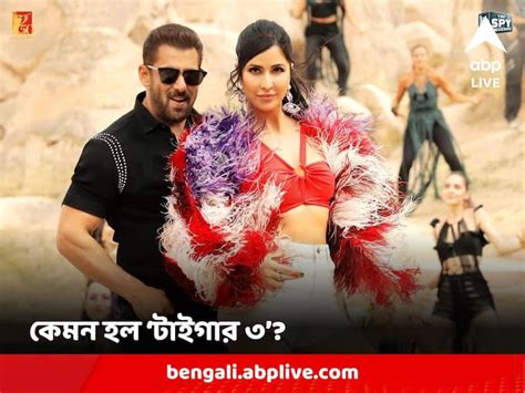 Salman Khan Katrina Kaif Starrer Tiger 3 gets positive fan reaction ...