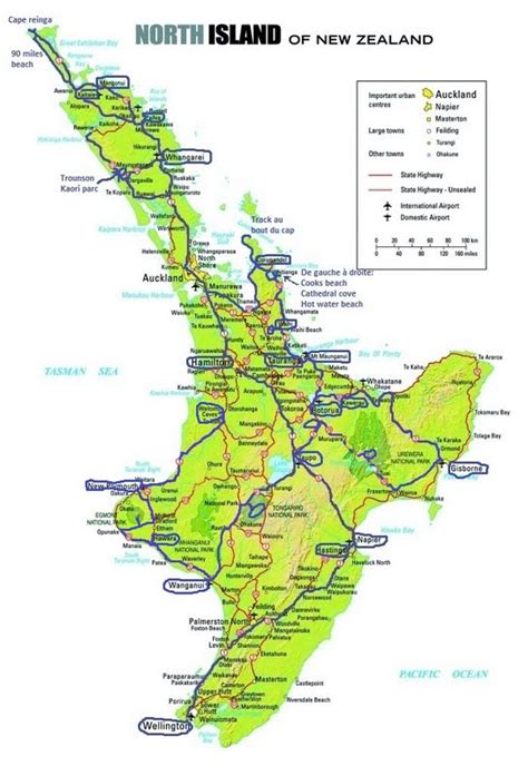 Waitomo Caves Map