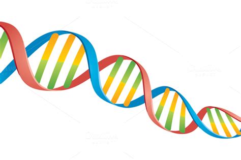 Double Helix DNA Strand | Double helix, Dna drawing, Helix