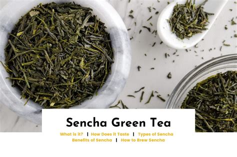 Japanese Sencha Green Tea - Taste, Benefits & Recipe - Twigs Cafe