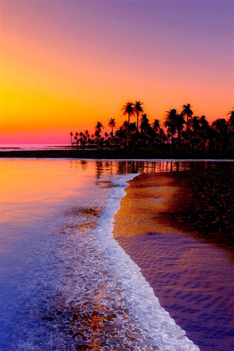 Wallpaper Beach, Tropics, Sea, Sand, Palm Trees, Sunset - Sunset Beach ...