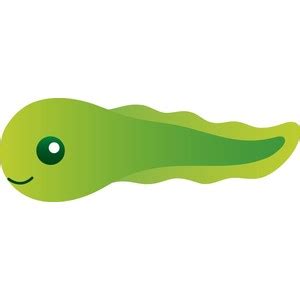 Tadpole clipart 20 free Cliparts | Download images on Clipground 2024