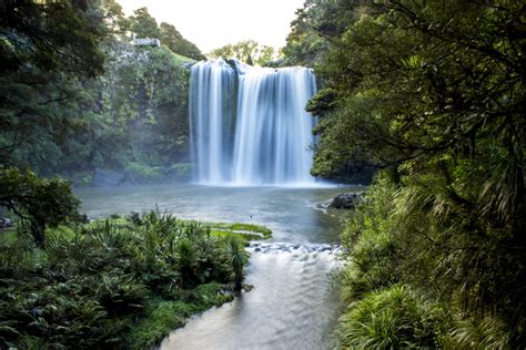 Whangarei Falls, Northland, New Zealand. [OC][5184x3456] : r/EarthPorn