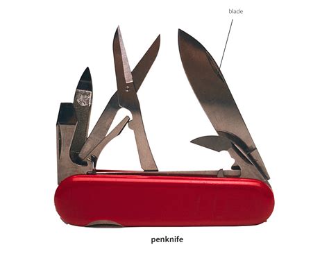 penknife noun - Definition, pictures, pronunciation and usage notes ...