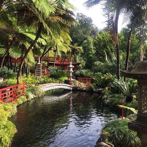 My favourite park of the Monte Palace Botanical Gardens in Madeira ...