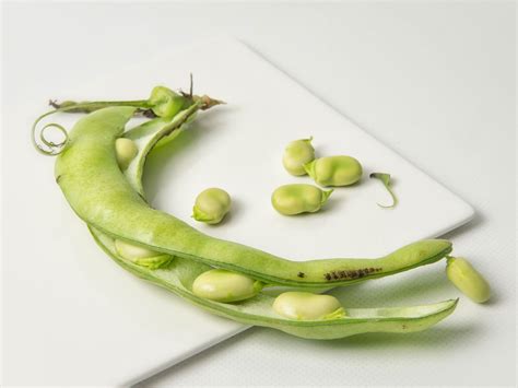 Fava Bean Recipes and Ideas