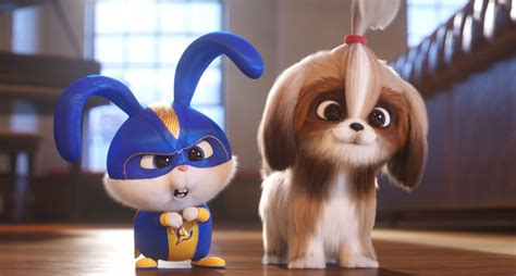 Download Movie The Secret Life Of Pets 2 HD Wallpaper