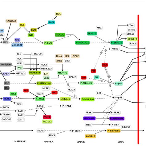 Protein kinase classification | Download Table