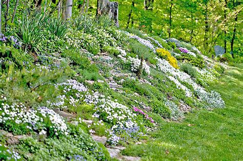 12 Hillside Landscaping Ideas to Maximize Your Yard