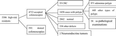 The results of the colonoscopy examinations | Download Scientific Diagram