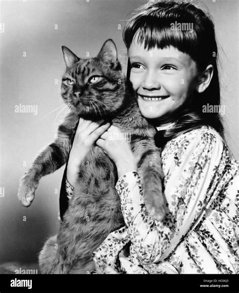 THE THREE LIVES OF THOMASINA, Karen Dotrice, 1964 Stock Photo - Alamy