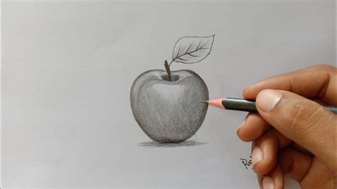 How to draw a realistic apple by pencil for beginners | Blending and ...