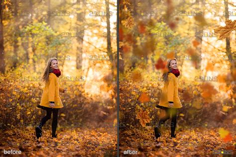 Autumn leaves overlay & Falling leaf, Photoshop overlay: Fall png over ...