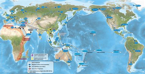 Homo Erectus Migration