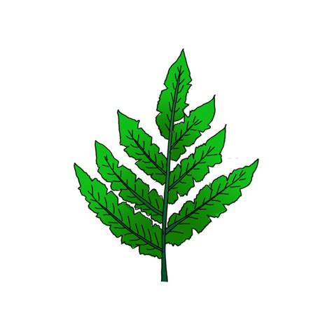 How To Draw A Pot Leaf - Step By Step Easy Drawing Guides