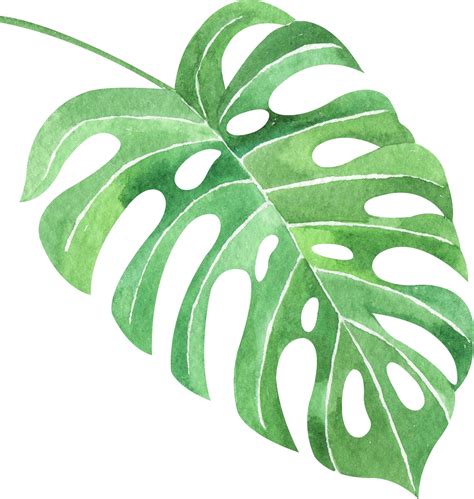 Watercolor Green Tropical Leaves Clip art. Tropical Leaves | Etsy in ...