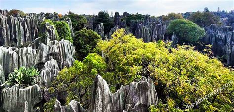 Kunming Stone Forest - UNESCO Heritage of Karst Miracle