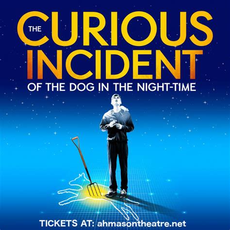 The Curious Incident Of The Dog In The Night-Time | Ahmanson Theatre in ...