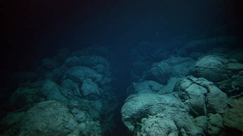 Man-made pollution accumulates deep in the Mariana trench