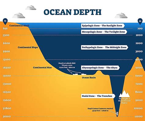 The Mariana Trench Is 7 Miles Deep: What’s Down There? | Flipboard