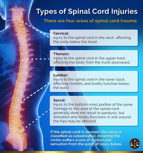 Types Of Spinal Cord Injury – NBKomputer