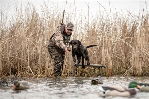 Waterfowl Photography - Lucky Duck Decoys