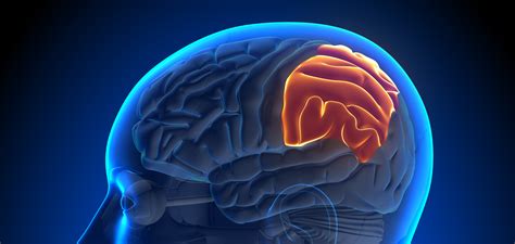 Superior Parietal Lobule Approach