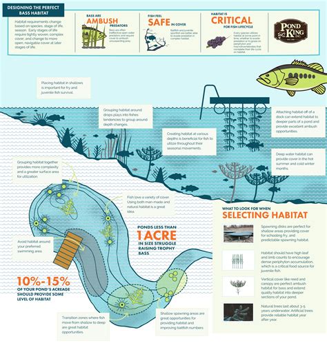 Designing The Perfect Bass Habitat — INFOGRAPHIC