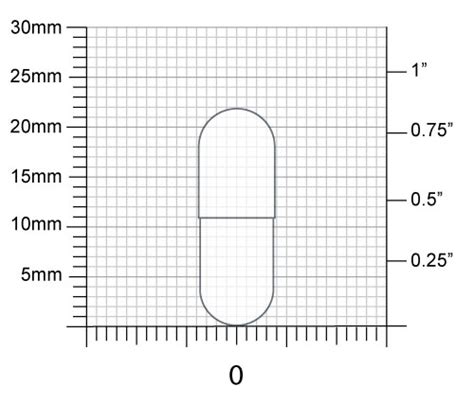 Capsule Size Guide | Interactive Specification Chart