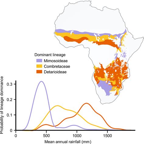 Savanna Grassland Climate Graph - Jaleada Mapanfu