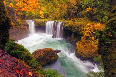 Relax With These 20 Amazing Shots Of Fall Colors In Oregon