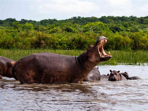 9 Interesting Facts About the Nile River