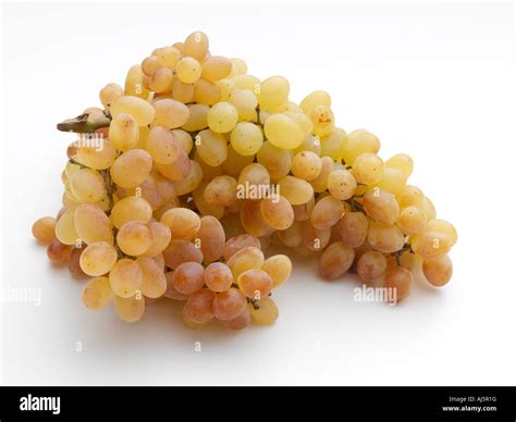 A bunch of sultana grapes on a white background Stock Photo - Alamy