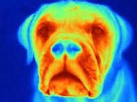 Properties of Infrared - The waves of the Electromagnetic spectrum